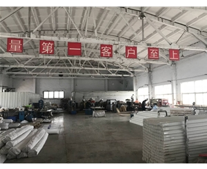 公司实力